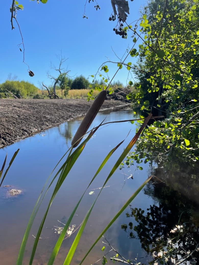 OPORTUNIDAD INVERSIÓN, SECTOR TURÍSTICO CERCANO A SALTO LAJA