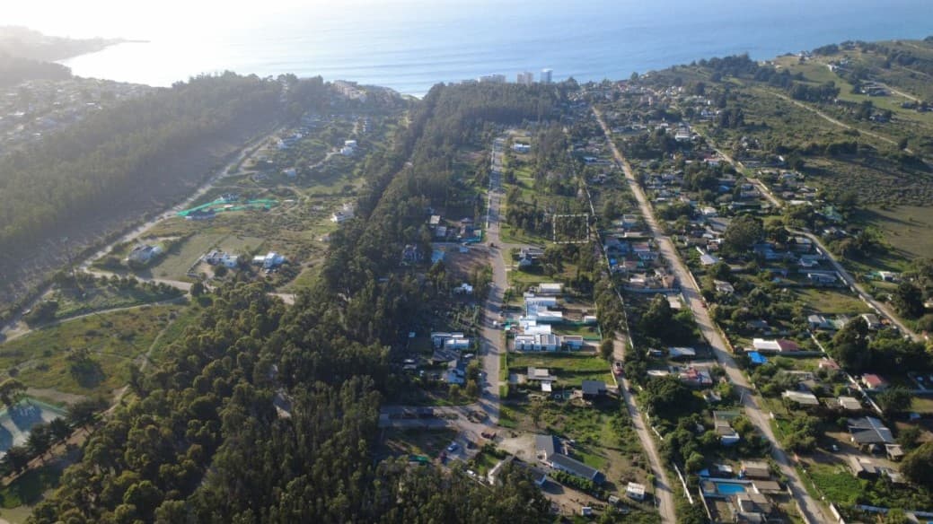 BOSQUES DE QUILEN, COSTA QUILEN                             