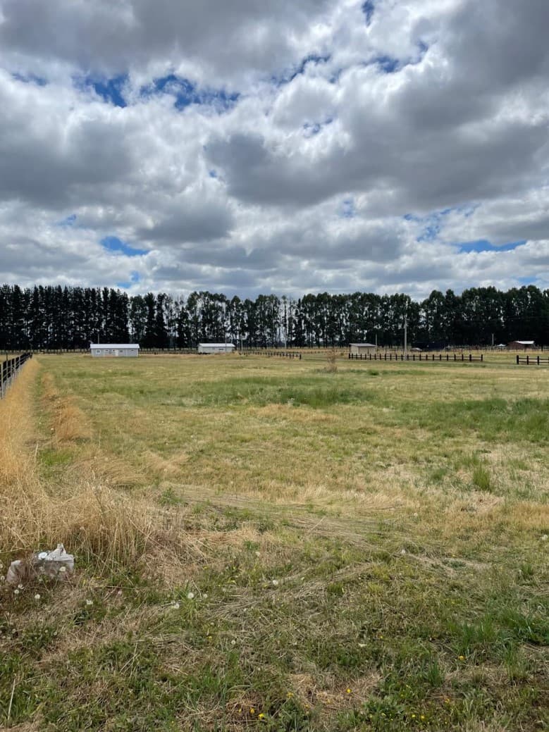 A 7.5 KILÓMETROS DE RÍO BUENO                               