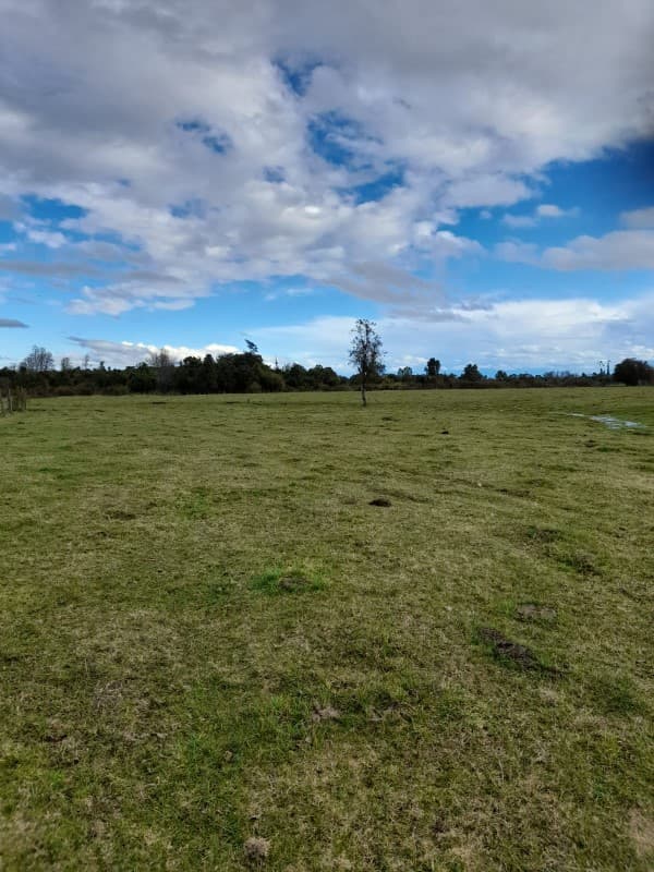 SECTOR PONHUIPA COMUNA DE RÍO BUENO                         