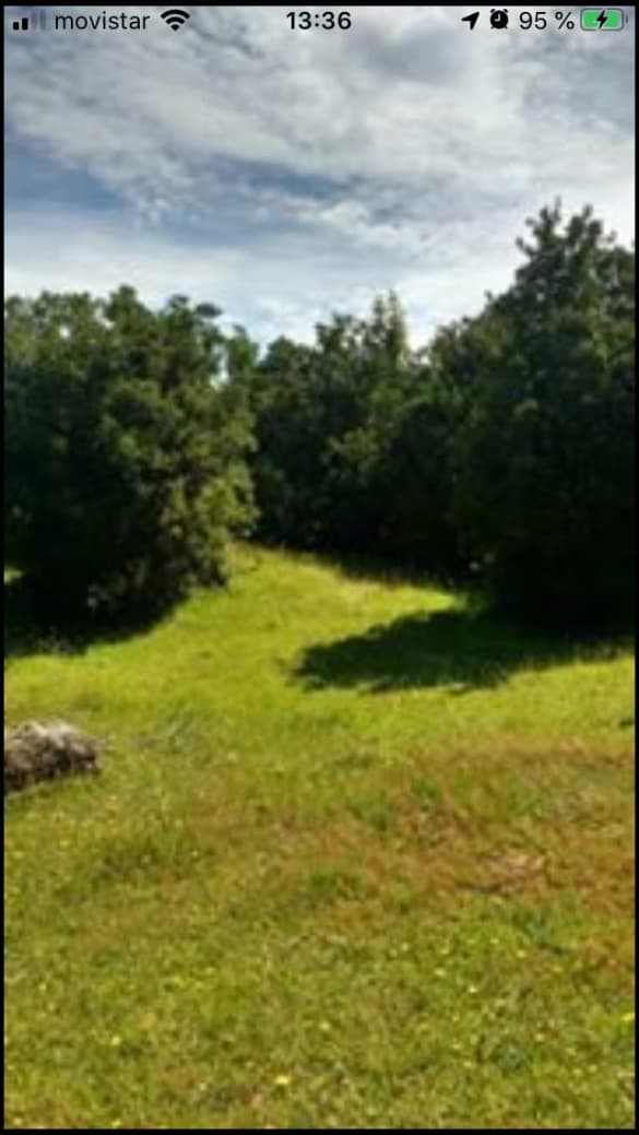 CALETA AULÉN -HUALAIHUÉ                                     