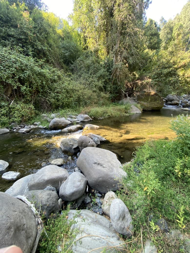 RADAL 7 TAZAS, SECTOR EL TORO.                              