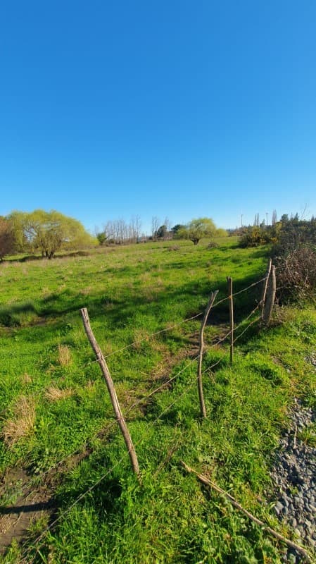 VENDO 2.01 HA EN SECTOR CHACAICO, LOS ÁNGELES               