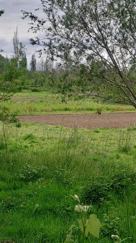 OPORTUNIDAD DE INVERSIÓN. TERRENO AGRÍCOLA, KM8 SALTO LAJA  