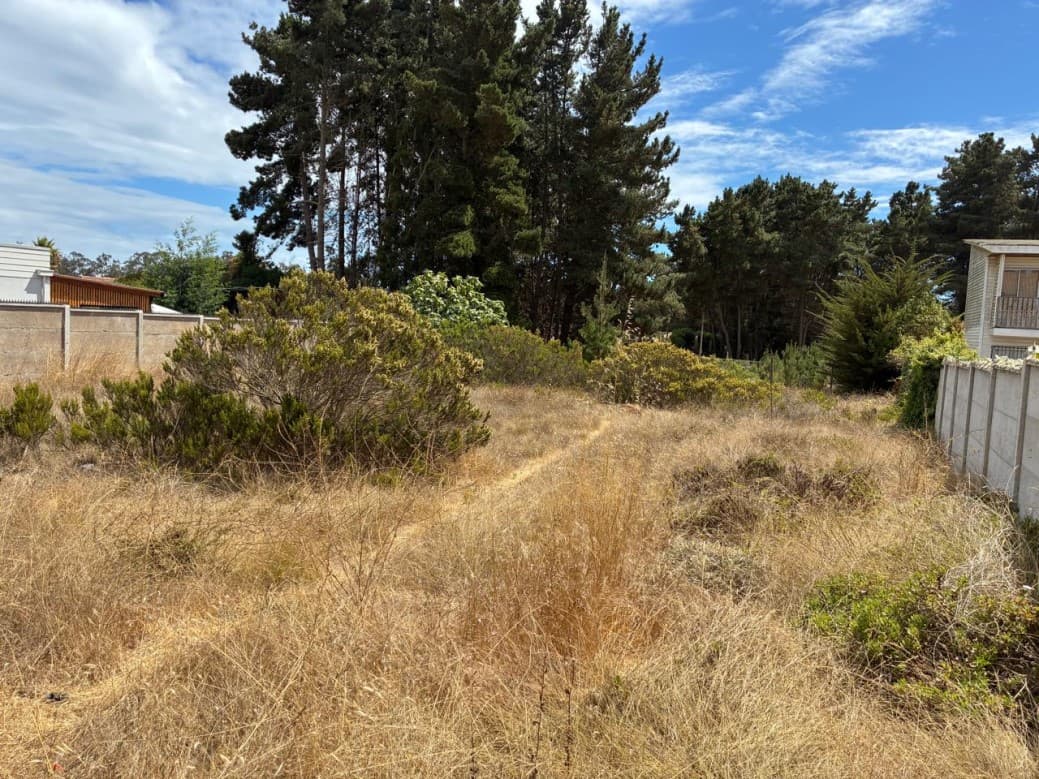 CENTRO DEL ADULTO MAYOR CALLE  LOS NARANJOS                 