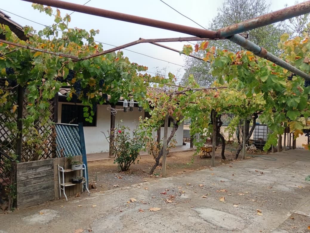 HIJUELA 5, A PASOS DE RUTA L-710, A 20 MIN DE SANTA CRUZ    