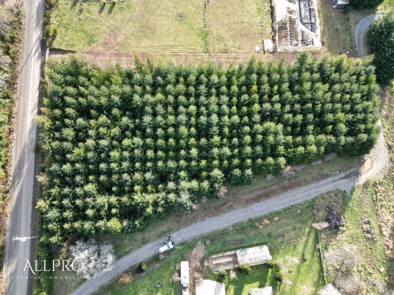 TERRENO EN VENTA ECO DREAM RELÚN VILLARRICA CON PINOS OREGÓN