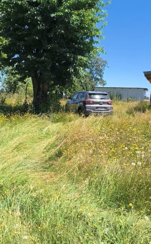 RIO BUENO, CON AGUA LUZ Y FOSA A 25 MIN LAGO RANCO          