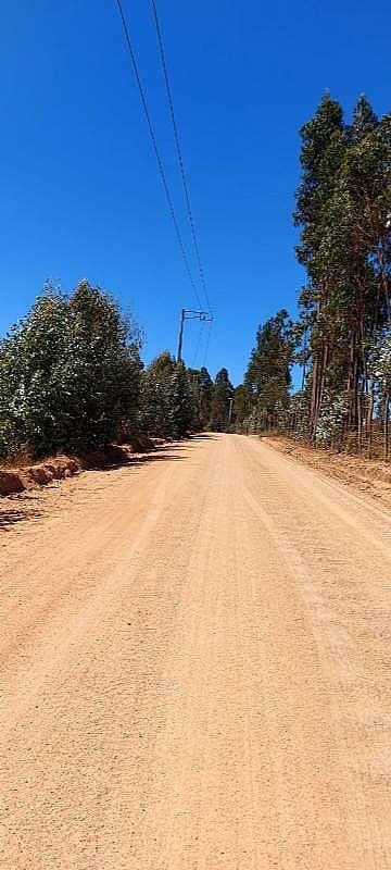 PARCELA EL PERAL A 25 MIN DE PLAYA. CARDENAL CARO, PAREDONES