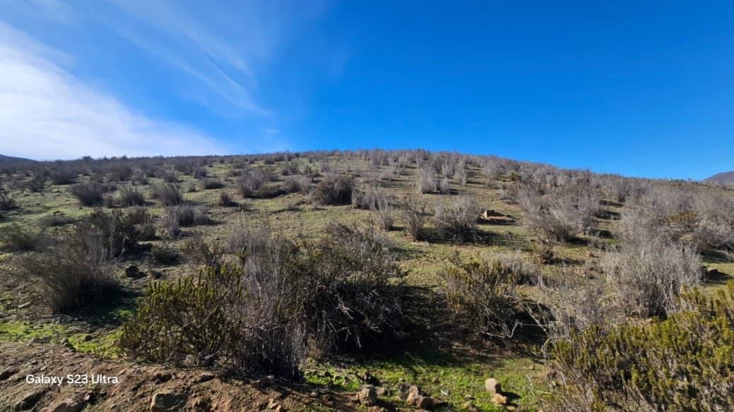 CAJON DEL ROMERO ALTO LA SERENA                             