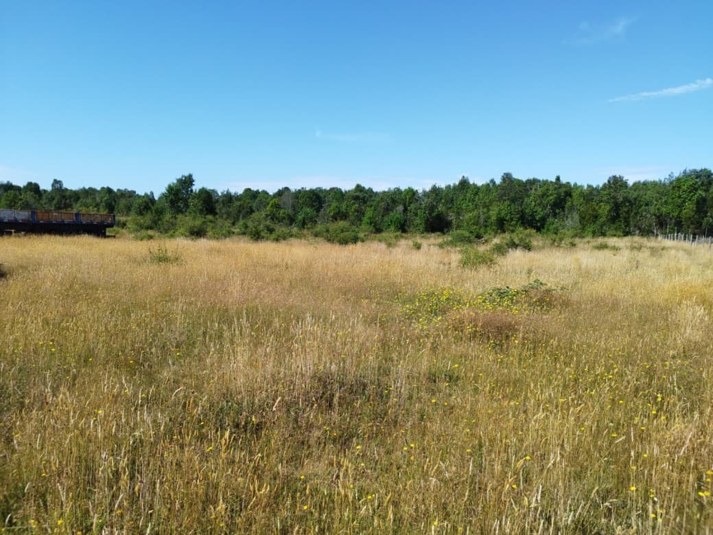 PARCELAS DE 2 HECTAREAS EN PANITAO - PUERTO MONTT           