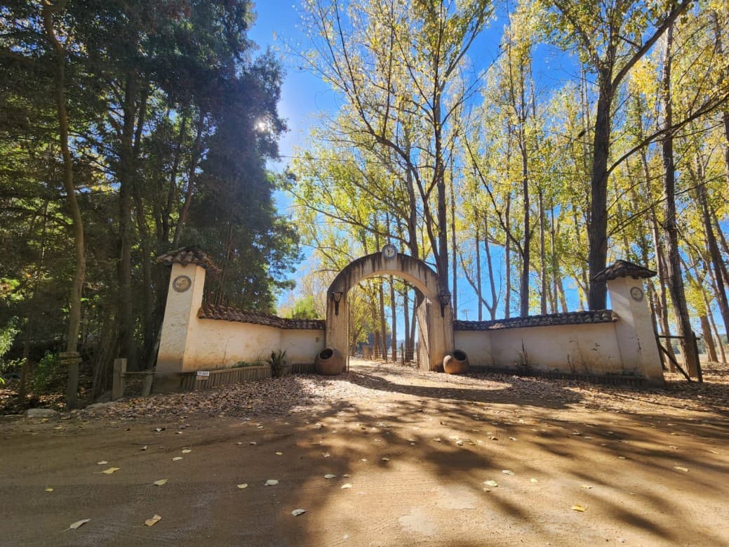 RUTA J-80 VICHUQUEN                                         
