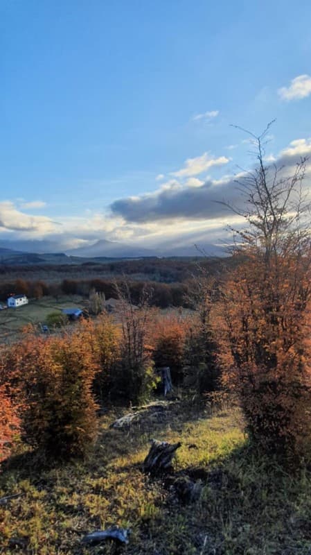 PARCELA 10.000 MT2 COYHAIQUE SECTOR LA CORDONADA            