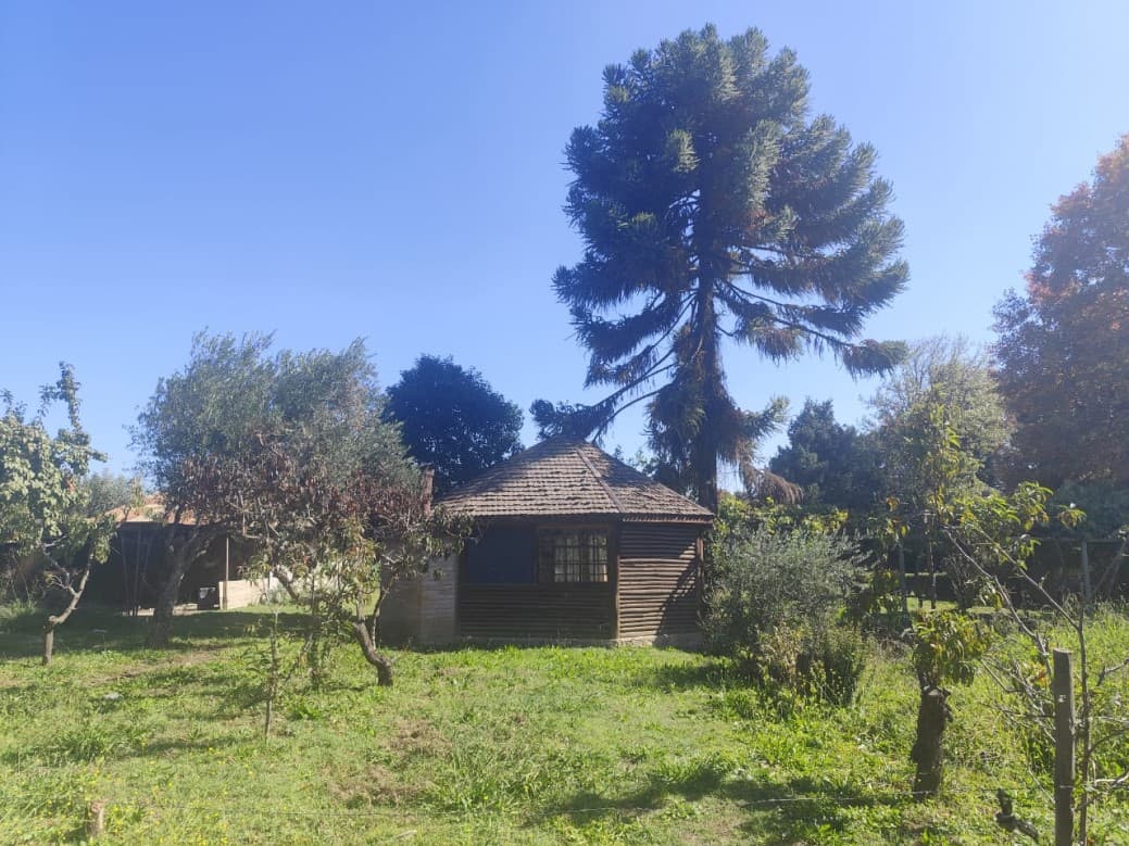 LA PUNTA, RANCAGUA                                          