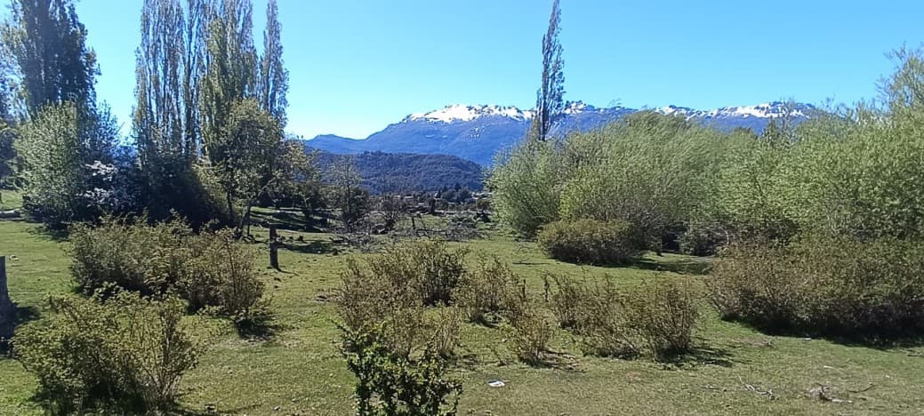 LAGO VERDE                                                  