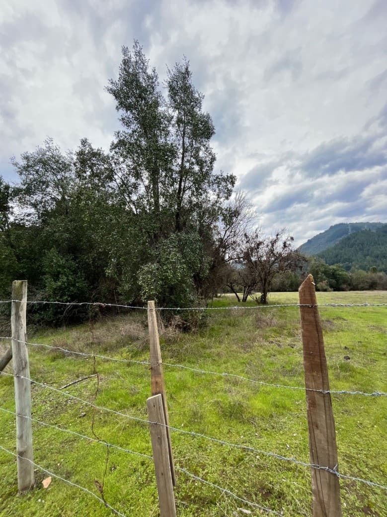 PARCELA DE 5000M2 CON ROL PROPIO LA INVERNADA LAGO MANCHICUR