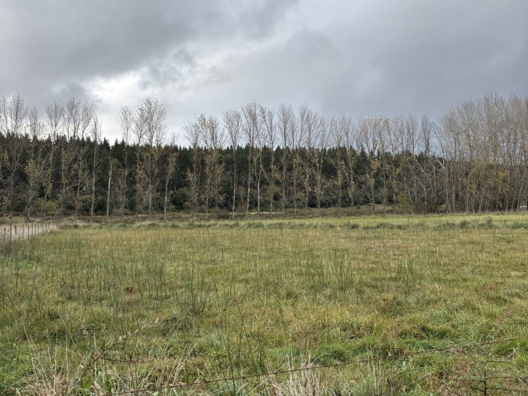 MACROLOTES DE 1,5 HA CON LAGUNA NAVEGABLE                   