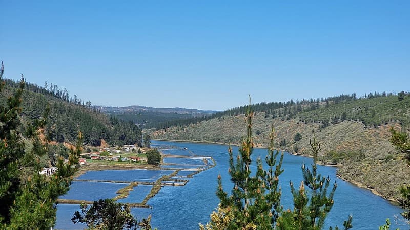 RESERVA LAS SALINAS DE CAHUIL, PICHILEMU                    