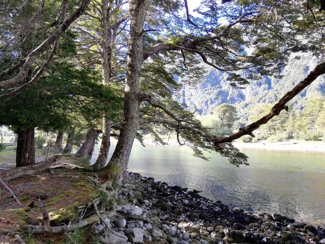 MAGIA DE LA PATAGONIA                                       