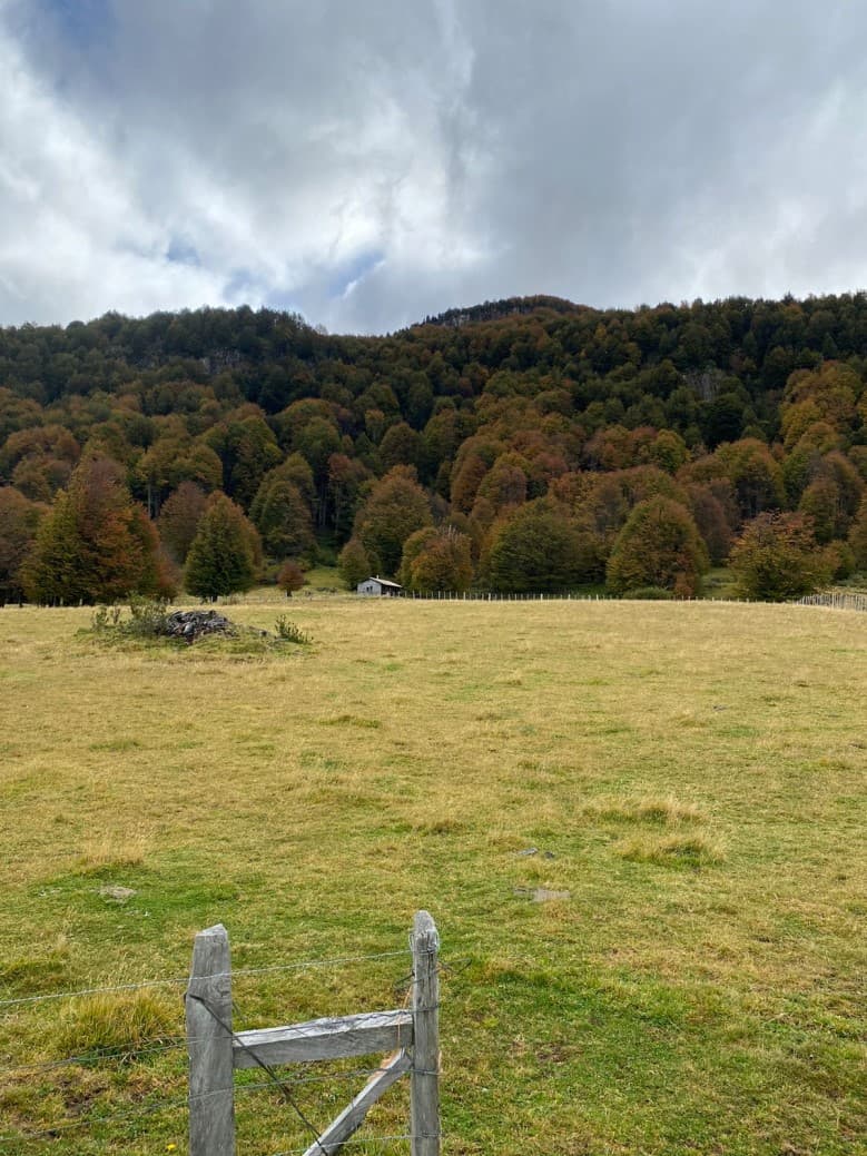 LAGO ATRAVESADO                                             