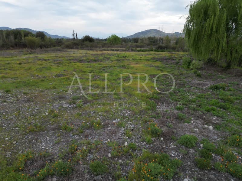 PARCELAS EN COLTAUCO 5.600 M² PLANAS CON ROL PROPIO         