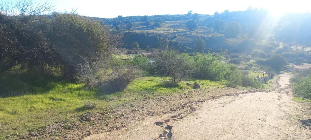 MATANZA                                                     