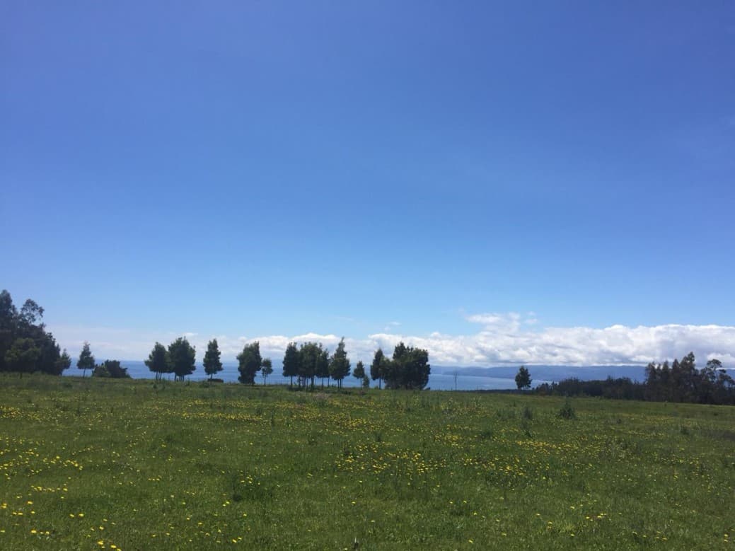 NACIMIENTO                                                  