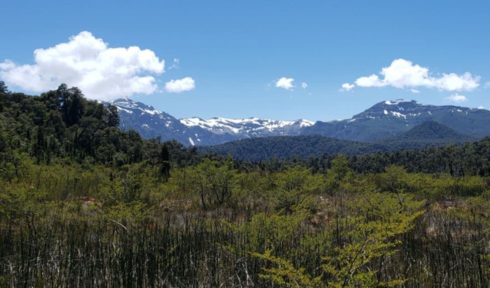 OPORTUNIDAD DE INVERSIÓN EN PARQUE CASCADAS DE PUYEHUE      