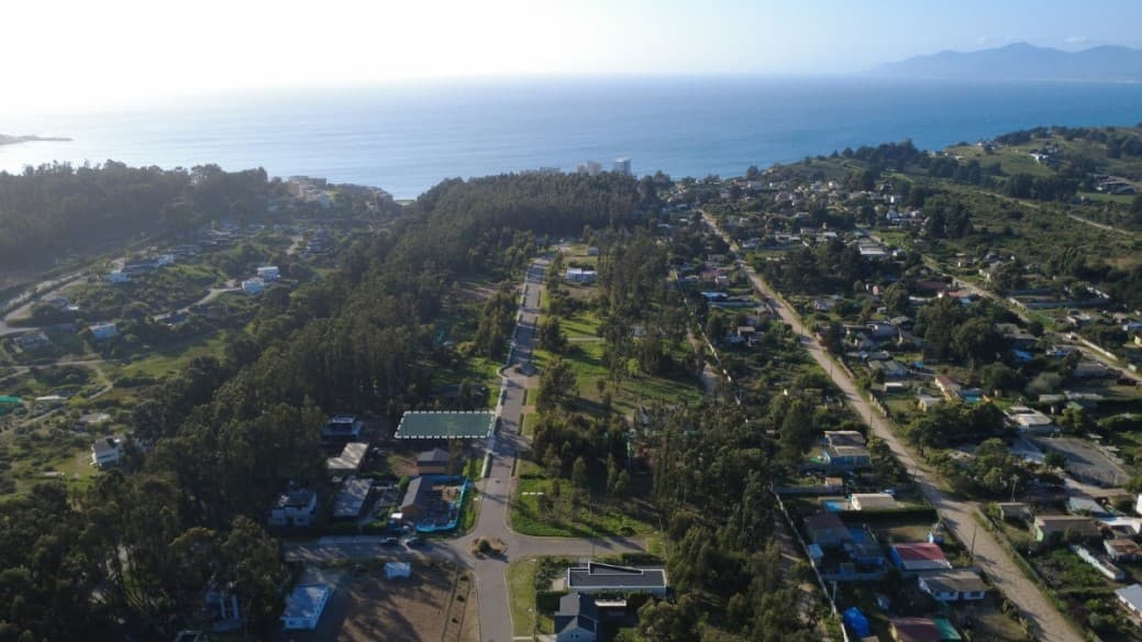 COSTA QUILEN, BOSQUES DE QUILEN, PUCHUNCAVÍ                 