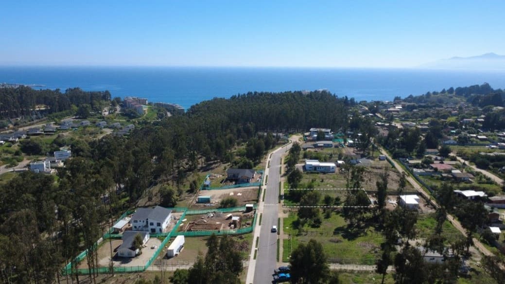 COSTA QUILEN, BOSQUES DE QUILEN, PUCHUNCAVÍ                 