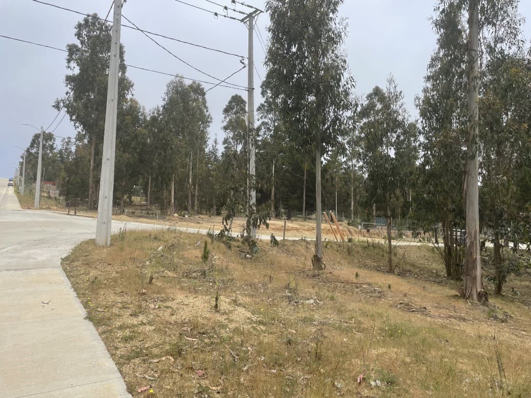 SITIO EN CONDOMINIO CON CALLES PAVIMENTADAS                 