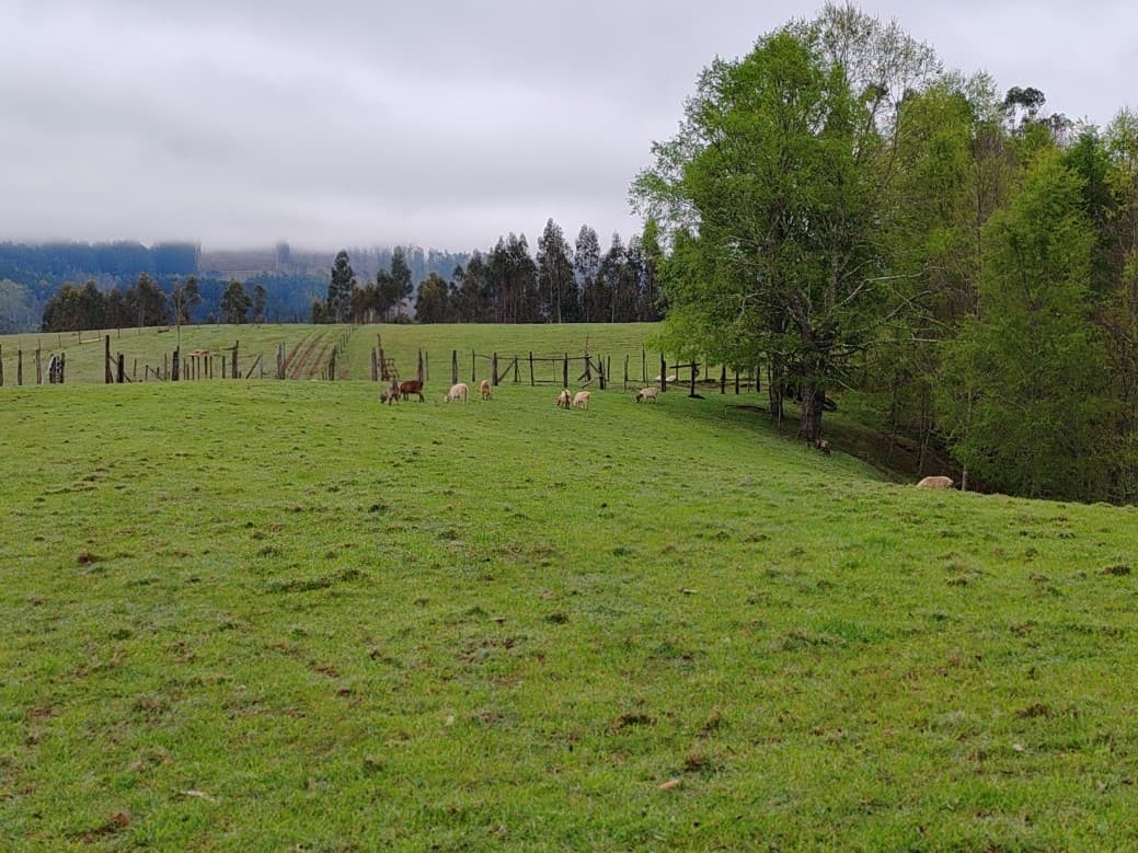 A 7 MINUTOS DE GORBEA.                                      