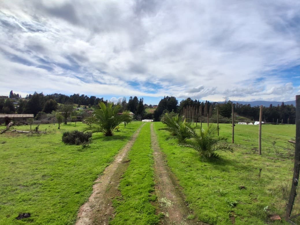 VENTA  AMPLIA PARCELA EN PUCHUNCAVI                         