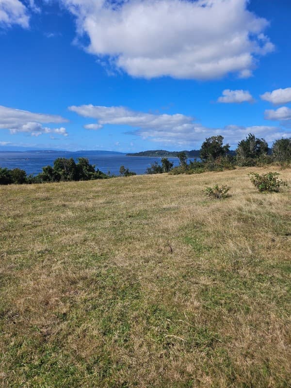 PANITAO ALTO, VISTA AL MAR, PUERTO MONTT                    