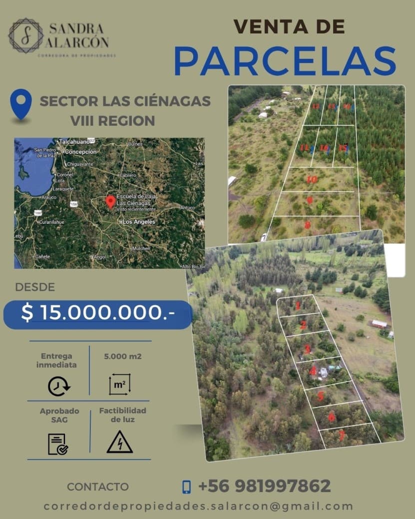 PARCELAS CIENAGAS                                           