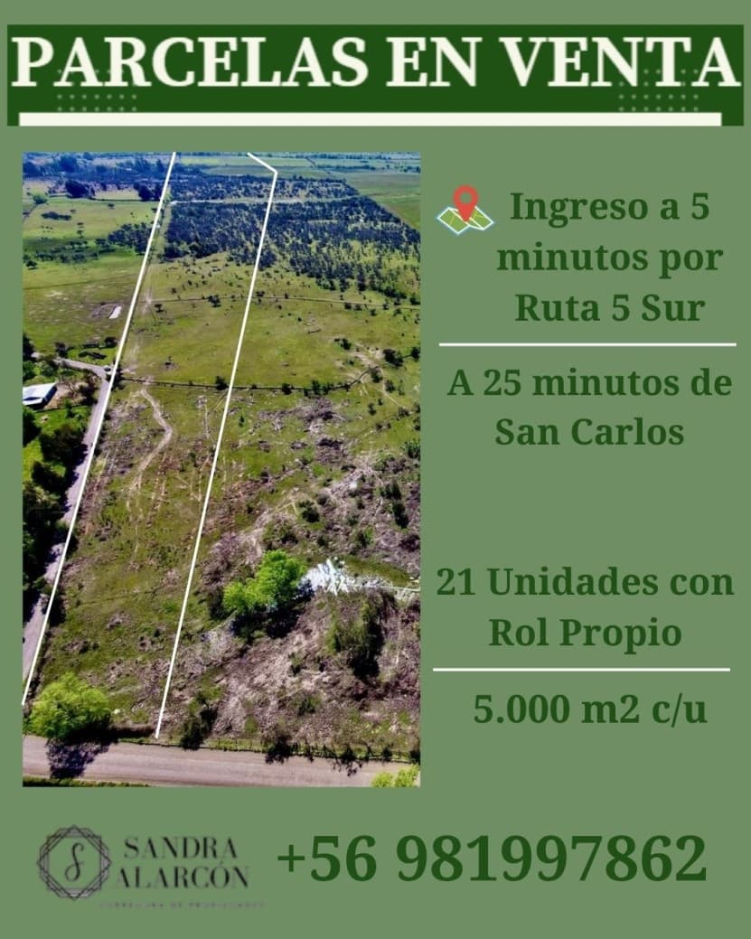 PARCELAS SAN CARLOS                                         