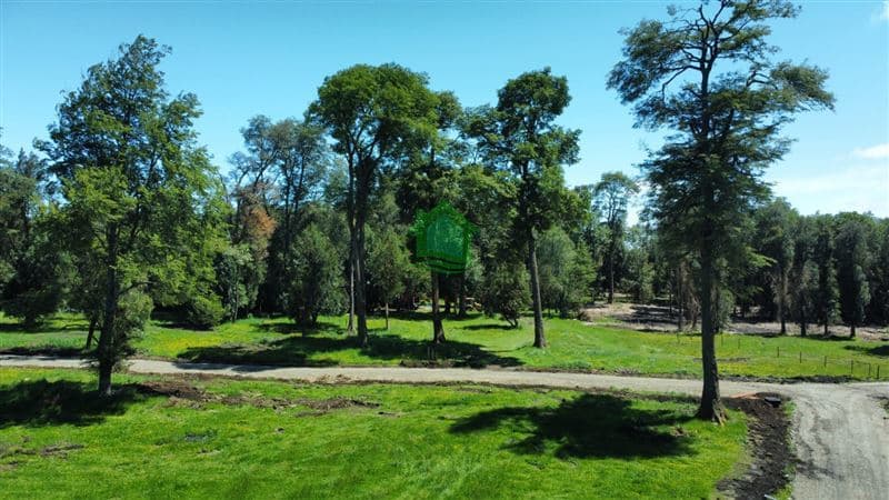 Km 42 Ruta 215 Entrelagos, Puyehue