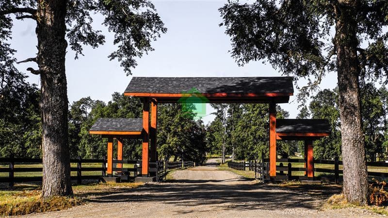 Ruta T-933 Rio Bueno