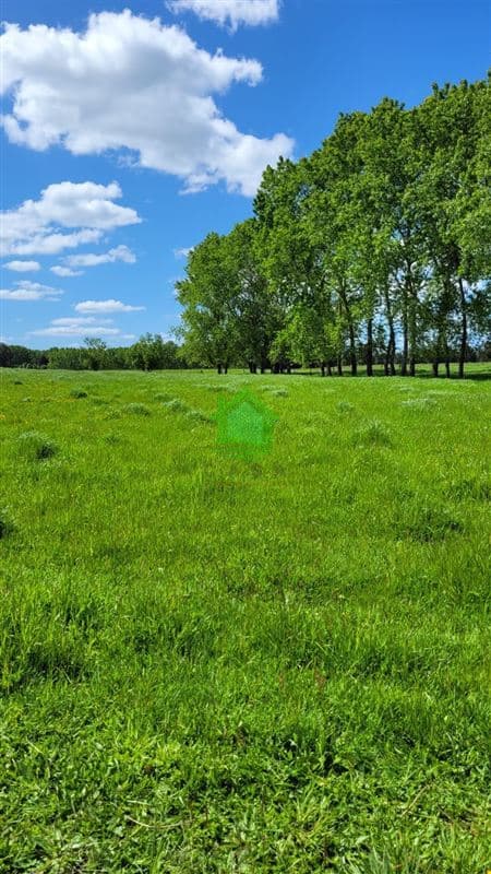 Hijuelas N°3 Barro Blanco