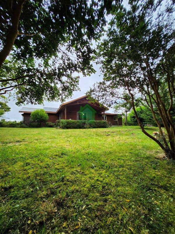 Sector Bellavista - Los Lagos