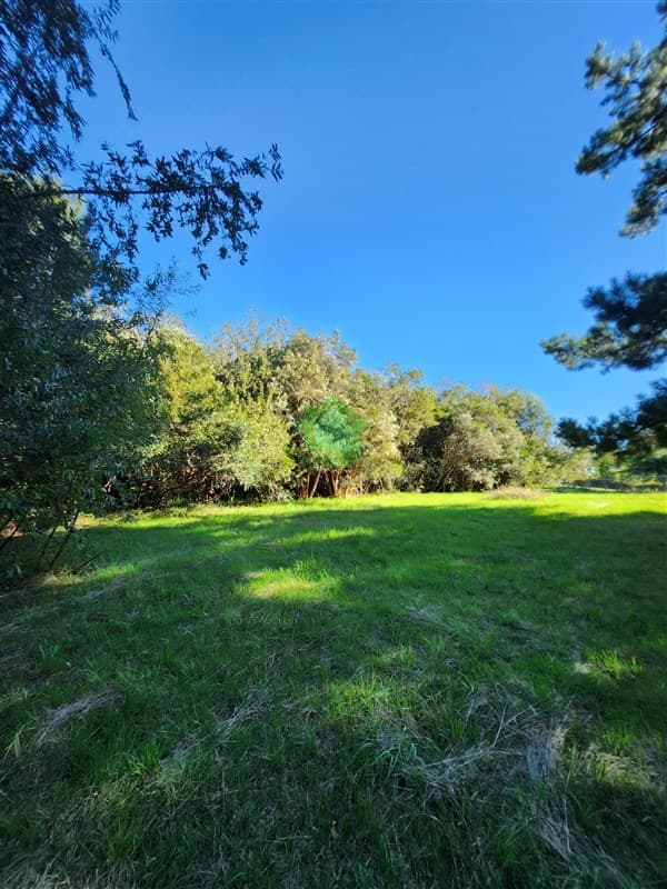 Santa Emilia, Valdivia