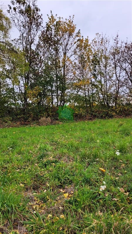 Volcán Michimahuida 597