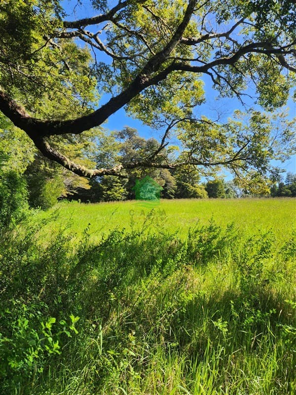 Riberas de la Dehesa