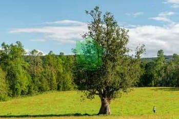 Parcelación Doña Francisca