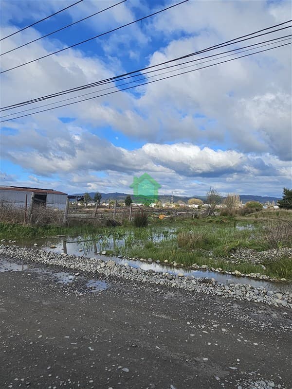 Las Animas