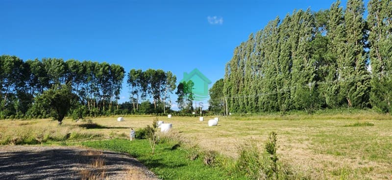 Sector Río Tijeral