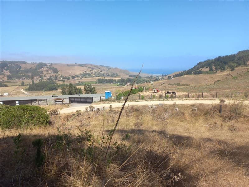 CONDOMINIO BOSQUES DE NAVIDAD