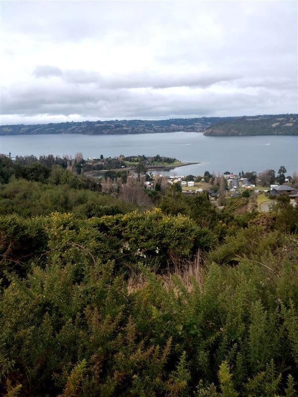 -34.039111, -71.847111