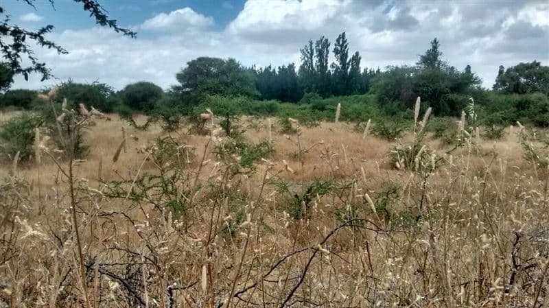 -35.73392, -71.86489