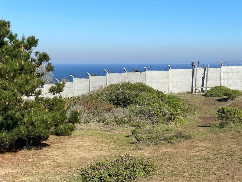 Laguna verde, Curaumilla